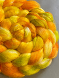 Circlet Superwash Merino/Silk Hand-Dyed Fibre Braid